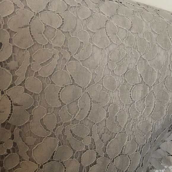 Like-New Grey Lace Talula/Aritzia 'Betsey' Top - Picture 12 of 13